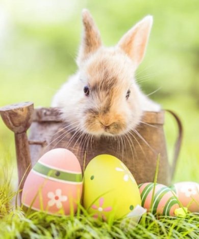 Easter Family Break!