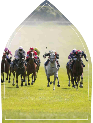 Playing polo on horseback