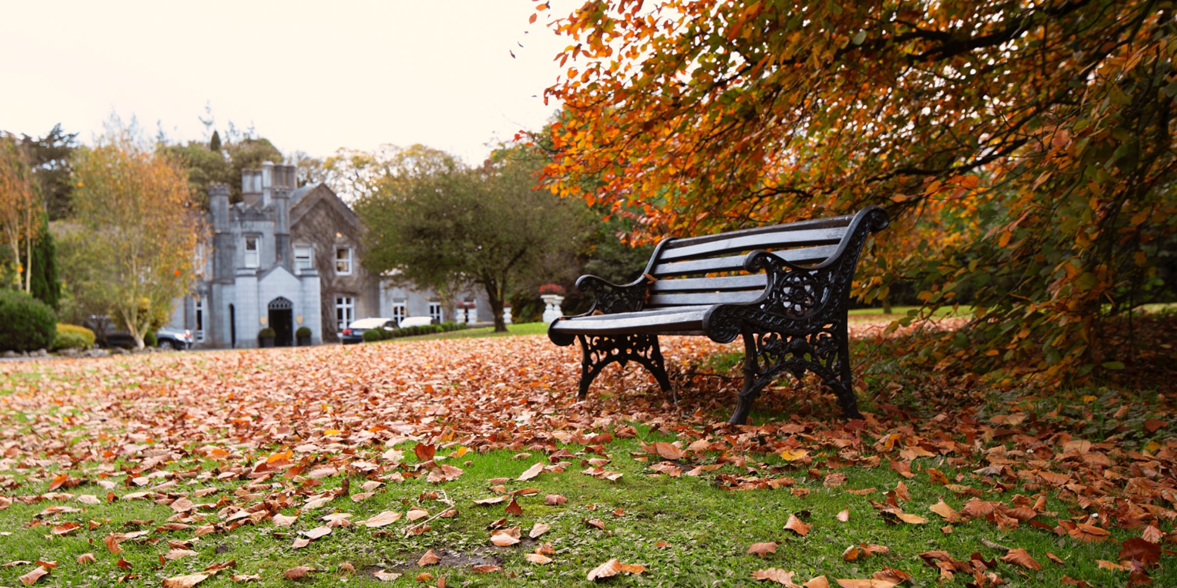 Bench in an autumnal scenery.