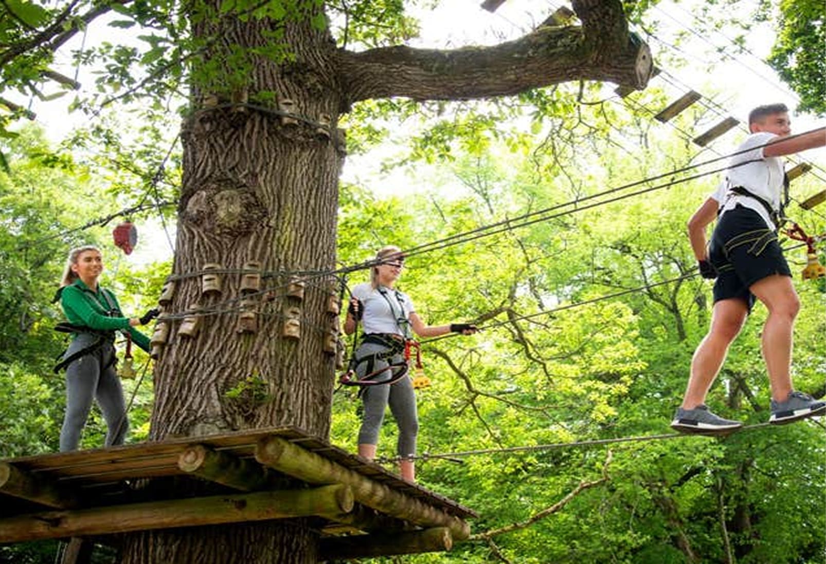 Adults climbing on an outdoor ropes course in the forest.